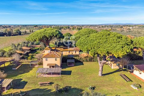 Farm located on the famous Via Bolgherese in an area of great prestige for wine cultivation in Tuscany. The tourist structure, composed of a typical renovated Tuscan farmhouse, divided into seven apartments of various sizes, each equipped with indepe...