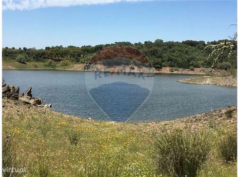 Land with 1.45 hectares on the edge of the Maranhão Dam! in a paralysican area!!!