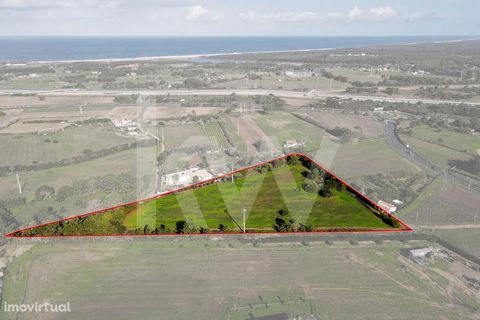 Rustic land in Sines near ZIL. This arable land with 15,083 m2 is located in the northern part of Sines, no buildings are allowed.   Land with easy access 200 m from the Alcatroada road, 700 m from the Industrial Zone and 3 km from the North Coast Be...