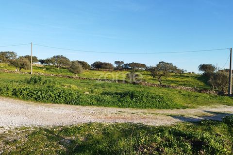 Identificação do imóvel: ZMPT564327 Welcome to your piece of paradise in Cabeça de Carneiro! This 13,250m² plot of land is more than a simple space - it is an ode to the serenity and grandeur of nature, contemplating the majestic view of the legendar...