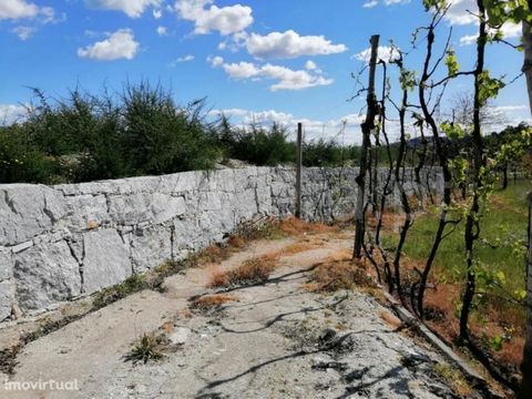 Land for construction with 886 m2 in Golães Excellent urban land near the city. With an area of 886 m2, it has feasibility of building a uniifamilar villa. It has an excellent sun exposure which makes it very sunny, since it has a solar orientation t...