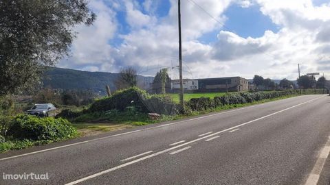 Fantastic land in Tebosa in front of the EN 14 next to Solar do Paço with 12,750 m2. -125m of front and 90m of depth m of road front on Avenida António Gomes Pereira. IDEAL FOR TRADE / INDUSTRY / OTHERS. Consult the PDM!