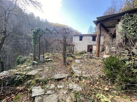 Nice farmhouse to buy in the town of Prats-De-Mollo-La-Preste. This authentic Catalan farmhouse consists of a living room kitchen of 36 m2, a shower room with toilet, and 2 bedrooms in the main building. The living area is approximately 80m2. This pr...