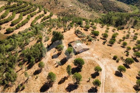 Are you ready to invest in a hidden secret in the heart of the beautiful Serra de Tavira in the Algarve?  We present you with a unique opportunity to acquire a 60-hectare plot of land ,  with the possibility of building a rural hotel, with a main hou...