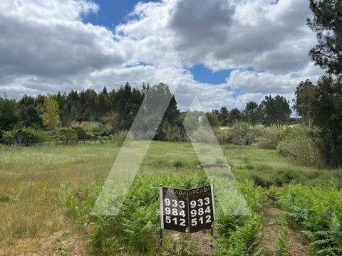 Land with an area of 2197m², in the industrial zone of Leiria. This land is a unique opportunity for those looking for a large and natural space. It has a well and several olive trees that provide a stunning landscape and a tranquil environment This ...
