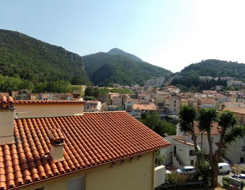Located in the town of Amélie-les-Bains-Palalda, on the top floor of a small condominium, come and discover this splendid apartment of character. Comprising a large and bright living room with a superb view of the Mondony gorges, a semi-equipped kitc...