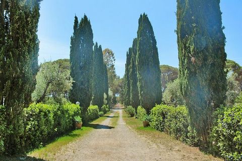 Former country estate with apartments just 900 meters from the sea. After a 5-10 minute walk through the green pine forest you will reach the gently sloping sandy beaches that stretch picturesquely along the coast. The estate consists of the former p...