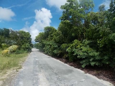 Build your dream home/cottage here in The Bahamas. This lot is located in Stella Maris in the north of Long Island. Stella Maris Resort, Airport and Marina are only minutes away. Enjoy a day fishing, diving or snorkeling on one of beautiful beaches n...