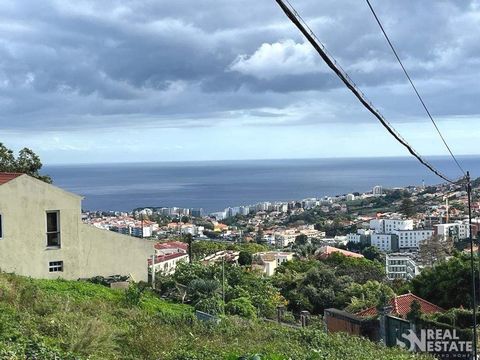Ce terrain à bâtir de 440m2, situé dans la paroisse de Santo António, Funchal, offre non seulement une vue imprenable sur la mer, mais aussi un environnement environnant qui rend cet endroit encore plus spécial. Dans les environs, vous trouverez la t...
