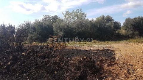 Do you want to buy a rustic finca in Alcover? Excellent opportunity to acquire ownership of this rustic property with an area of 15117 m² located in the town of Alcover, province of Tarragona. It has good access and is well connected. Want more infor...