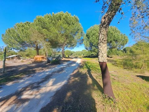 Farm with 15 hectares, completely fenced, located at the exit of the A13-a Pegões, 40 Kms from Lisbon and 4 km from the future airport of Lisbon Pegões with 600m of legalized covered area, water and electricity distributed throughout the property, al...