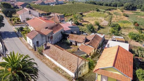 House and annexes with a total area of 186m2 located on a plot of land with 271m2 to be rehabilitated in Cumeira de Santa Catarina, Caldas da Rainha. House with land in the countryside of Santa Catarina. This property has 2 items and allows separatin...