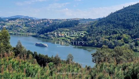 Situated along the Douro River and boasting a complete south-facing orientation , Quinta de Santa Cruz is an idyllic haven where each crevice and cranny encapsulates the region's finest qualities. At the epicenter is the  charming hotel with 10 compl...