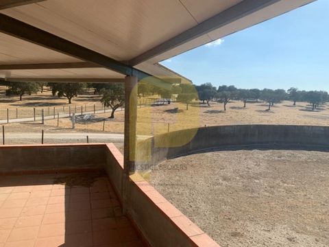 This property has two contiguas properties with an area of total of 401.01 hectares, located in the municipality of Arraiolos in Évora, is mainly destined to livestock with excellent facilities for breeding and treatment of animals including cattle. ...