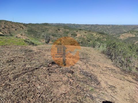 Rustikales Land mit 5920 m2, mit gutem Zugang, in der Ortschaft Cortelha, in der Pfarrei Azinhal in Castro Marim - Algarve - Portugal. Zufahrt über asphaltierte Straße und auch Zufahrt über Feldweg. Freier Blick auf die Algarve. Tolle Lage, um die Na...