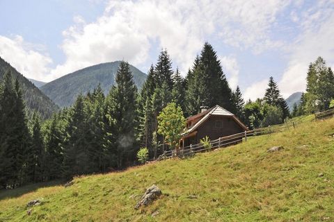 This rustic chalet / alpine hut for a maximum of 4 people is located approx. 12 km from Kolbnitz-Teuchl in Carinthia and is at 1,200 meters above sea level. In the middle of nature, the hut is quiet and sunny on the edge of the forest. The quiet loca...