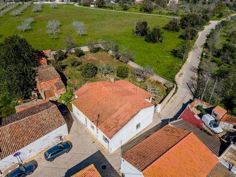 Maison individuelle située à Aldeia de Tunes, un quartier très calme, entouré par la nature. Ce village est à 2 km d'Algoz, à 7 km d'Algarve Shopping et à 13 km des plages d'Albufeira. Composé de 7 divisions et d'une annexe, superficie totale de la p...