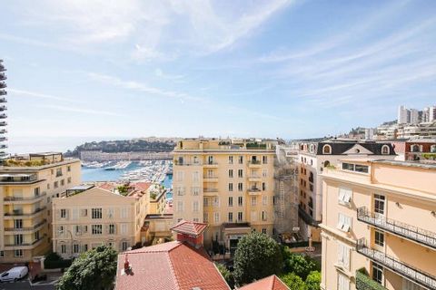 Situated in the Monte-Carlo district, in a 