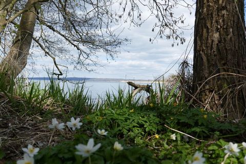 Czas wolny i urlop indywidualny bezpośrednio nad jeziorem Tollense, z dala od masowej turystyki, w dziewiczej przyrodzie na skraju Pojezierza Meklemburskiego