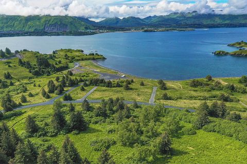Las playas de Cliff Point Estates encarnan la vida de Alaska en su máxima expresión. Elija entre una variedad de lotes frente al mar y adyacentes con magníficas vistas a la montaña y acceso único a las pintorescas costas de Women's Bay. Las playas of...