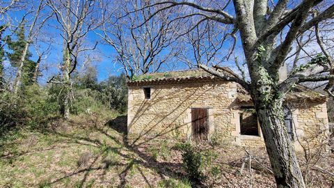 Rare and atypical product You are looking for a stone house to completely restore, the Le TUC IMMO agency in Bollène offers you this rare and atypical property 5 minutes from Saint Julien de Peyrolas. Currently the house offers 50 m2 with the possibi...