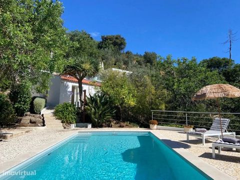 Single storey villa T1 + annex converted into bedroom with bathroom, with swimming pool, garden and extensive land, in the mountains of Monchique with stunning panoramic views of the mountains and south coast of the Algarve. Sold furnished. Situated ...