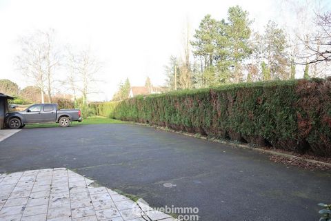 photo no. 3