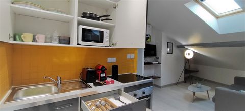 photo no. 5