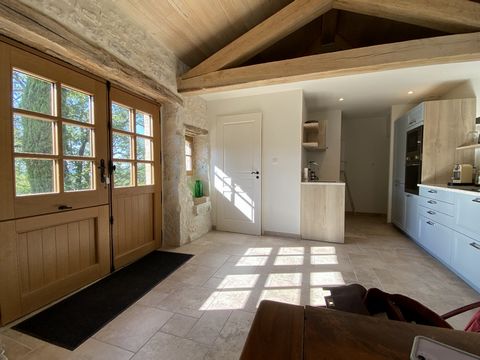 photo no. 11
