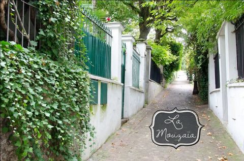 photo no. 12