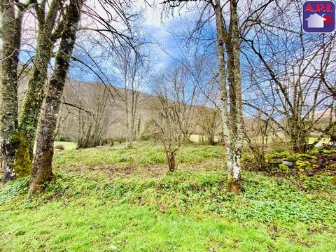 GROND Schitterend terrein van 1528 m², met een uitzonderlijke natuurlijke omgeving. Dit vlakke, bosrijke terrein is ideaal voor natuurliefhebbers en mensen die hun huis willen bouwen in een rustige en groene omgeving. CU in uitvoering. Kosten inclusi...