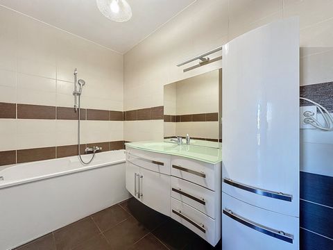 photo no. 13
