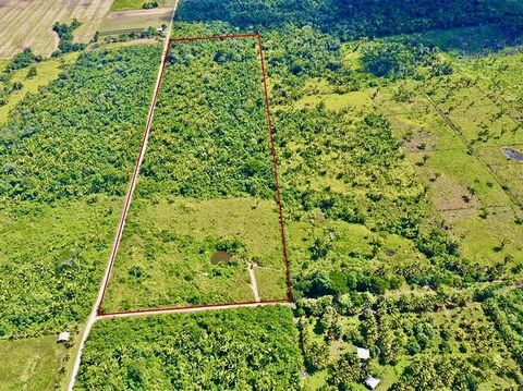 Encontrar la propiedad adecuada en el panorama inmobiliario de Belice se está volviendo muy difícil. ¡Pero no temas! Nos complace compartir esta parcela de 25 acres con usted. Ubicado a .1 millas de la autopista Farmer's Express en el distrito de Cay...