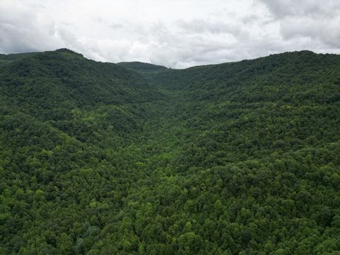 This great mountain tract is nestled in Kentucky's eastern region just outside the historic city of Harlan. An abundance of deer, turkey, bear and the occasional elk. This large tract of contiguous land falls within Kentucky's famous elk restoration ...