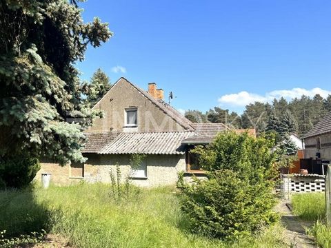 Are you looking for a new house with potential on the edge of the forest? Welcome to idyllic Brandenburg! This charming house offers spacious rooms, an inviting terrace and a lot of potential for the conversion of the attic. Located on the outskirts ...