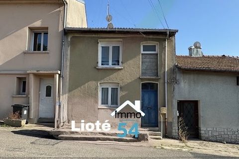 Pulligny (54160) maison 1er achat ou investisseur Lionel vous propose dans le village de Pulligny cette maison de village de 67 m². On dispose en rez-de-chaussée d'une entrée, une belle pièce de vie avec coin cuisine, un patio accédant à une cave et ...