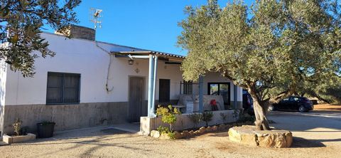 Wunderschöne rustikale Finca zum Verkauf im Canalet in Jesús-Tortosa. Die Finca befindet sich in einer ruhigen Gegend inmitten der Natur, perfekt für diejenigen, die einen Ort zum Entspannen und Abschalten vom hektischen Treiben der Stadt suchen. Mit...