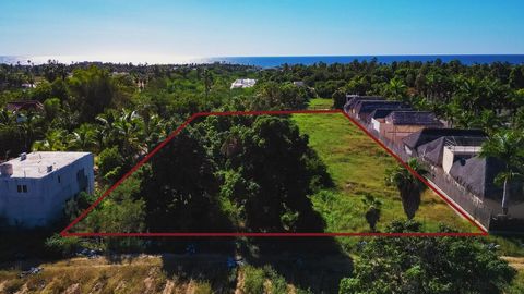 This is one of the last remaining parcels perfect for a home or compound in popular Pescadero. The lot contains many mature Mango trees which affords shade privacy and birds. The soil is organic which makes it perfect for a small intentional communit...