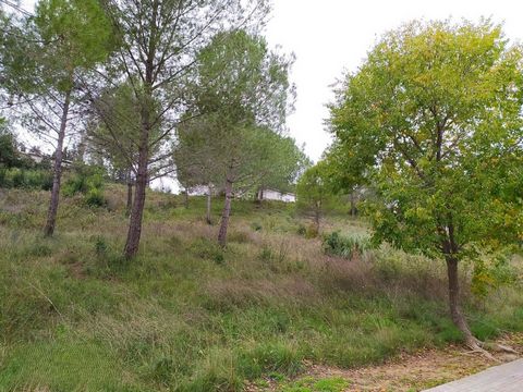 Unique Opportunity in Sant Llorenç d'Hortons! PLOT 10 Are you looking for the perfect place to build your dream home? We present to you a spectacular 495-square-meter building plot, located just 30 minutes from Barcelona. This charming plot is surrou...