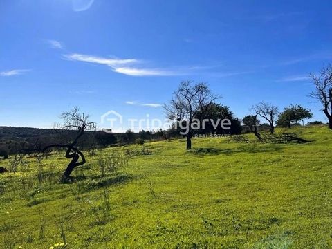 Have you always dreamed of building your own house? Now, you have the unique opportunity to make that dream come true with this excellent investment - a building plot in a quiet area, located within walking distance of the center of Loulé. This land ...