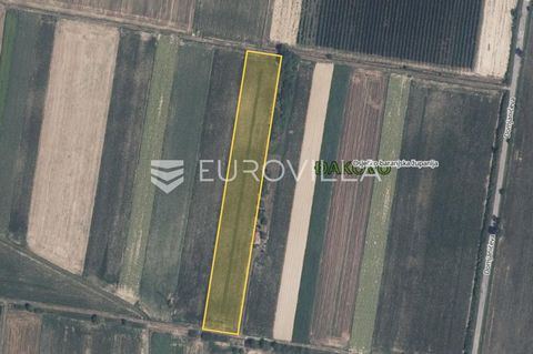 Land for sale in Đakovo, total area 11,475 m2. The land is located in a very attractive location, and there is a possibility of converting it into a building, because within 100 meters of the plot there are existing building land and all the necessar...