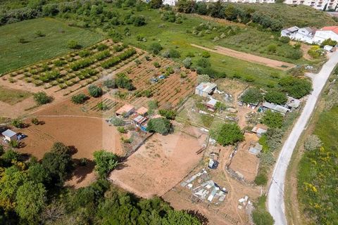 Descubra este terreno con una superficie total de 58.109,85 m2, ubicado en las faldas de Vila de Alenquer, rodeado de naturaleza y urbanizaciones recientes. Este espacio, con viabilidad aprobada por el PIP (solicitud de información previa) de la Cáma...