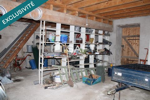 photo no. 1