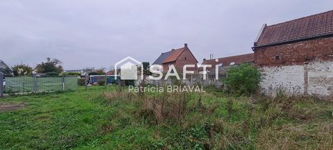 photo no. 3