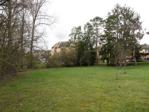 photo no. 2