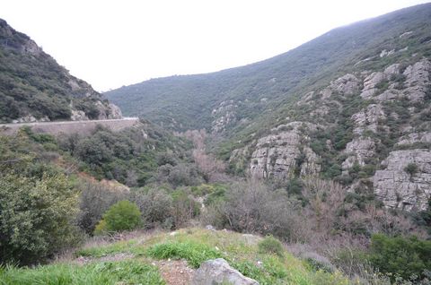 photo no. 7