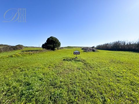 Deal Homes presenta, Terreno rustico molto pianeggiante con 13400m2, situato nel villaggio di Raposeira. Con un ottimo accesso, costeggia due strade, una asfaltata e l'altra sterrata. Composto da seminativo, alberi e canneti, è perfetto per attività ...