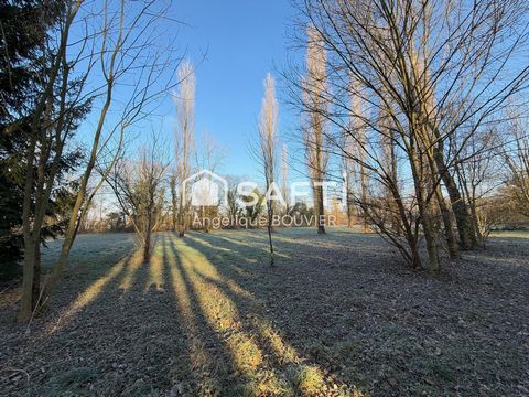 photo no. 2