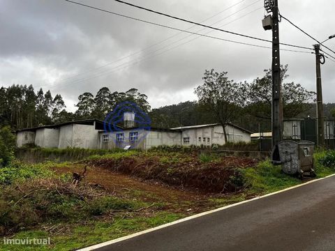 Grundstück mit 1230m2, in der Stelle von Alvedrinho, in Santana, ländlich, aber mit einer Baukapazität von bis zu 200m2 laut PIP. Zugang zu Wasser und Strom, da es sich an der Seite der Straße befindet, die Sie zum Zugangsweg zum Pico Ruivo führt. Ei...