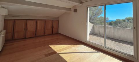 photo no. 19